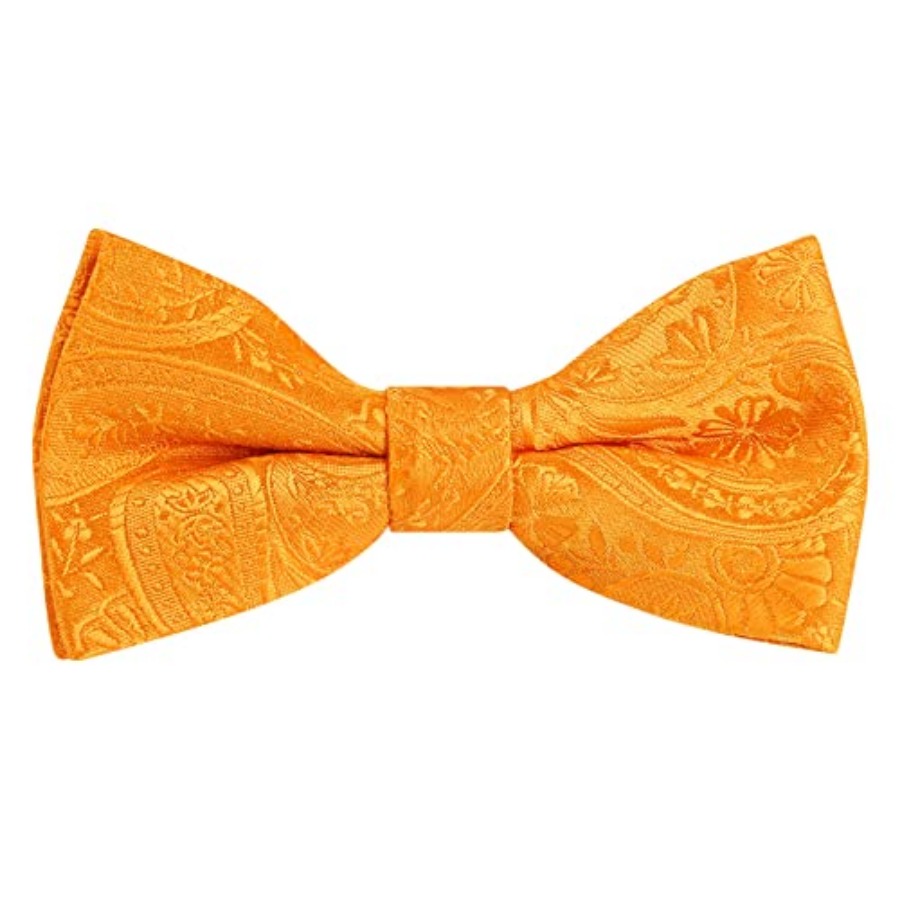 Alizeal Boys Classic Paisley A – обзор и цена Bow Tie Pre Tied