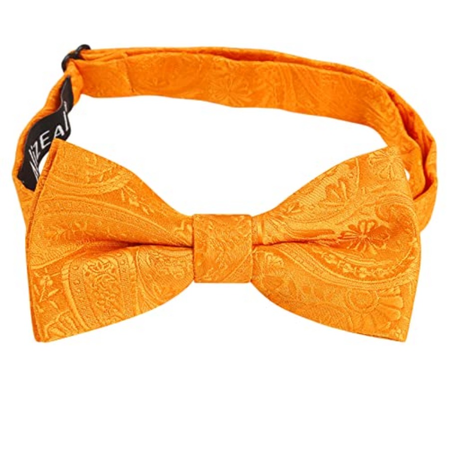 Alizeal Boys Classic Paisley A – обзор и цена Bow Tie Pre Tied