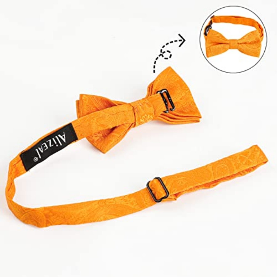 Alizeal Boys Classic Paisley A – обзор и цена Bow Tie Pre Tied